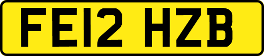 FE12HZB