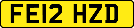 FE12HZD