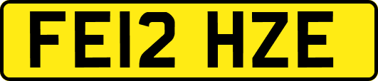 FE12HZE