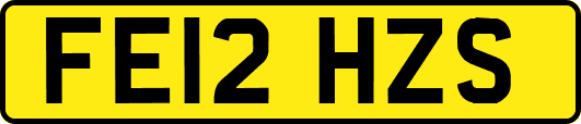 FE12HZS