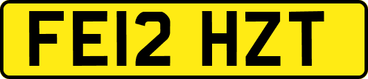 FE12HZT