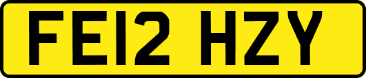 FE12HZY