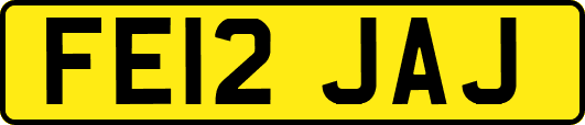 FE12JAJ