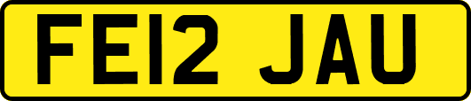FE12JAU