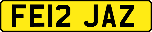 FE12JAZ
