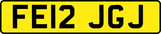 FE12JGJ
