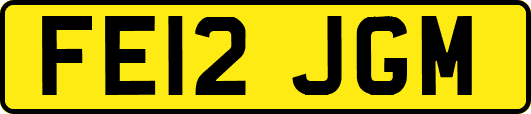 FE12JGM