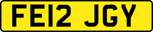 FE12JGY