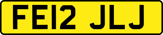 FE12JLJ