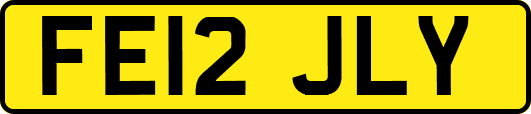 FE12JLY