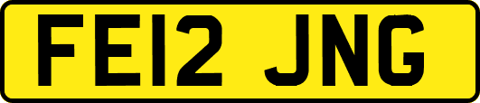 FE12JNG