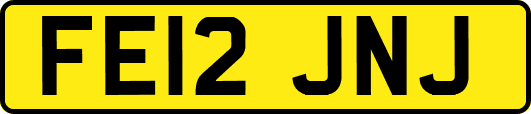 FE12JNJ