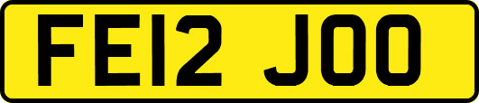 FE12JOO