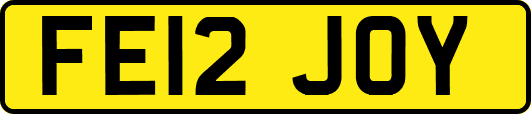 FE12JOY