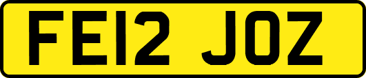FE12JOZ