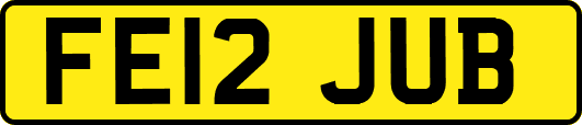 FE12JUB
