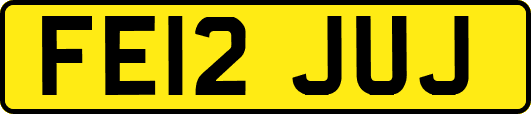 FE12JUJ