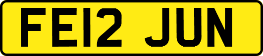 FE12JUN