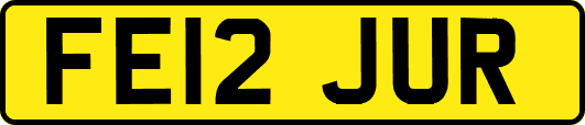 FE12JUR