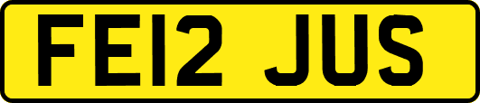 FE12JUS