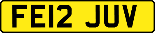 FE12JUV
