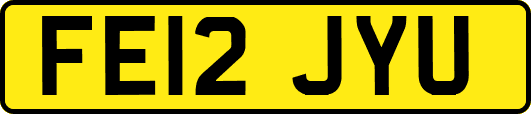 FE12JYU