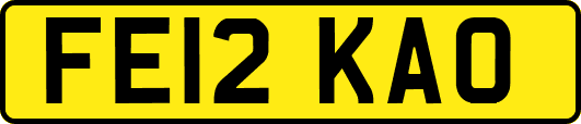FE12KAO