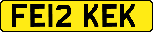 FE12KEK