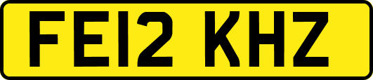 FE12KHZ
