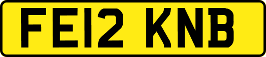 FE12KNB