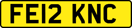 FE12KNC