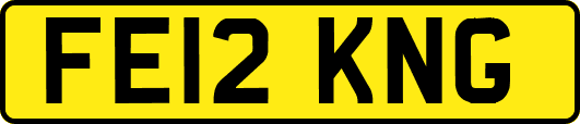 FE12KNG