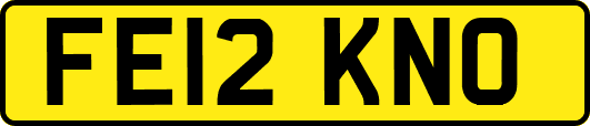 FE12KNO