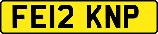 FE12KNP