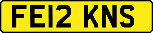 FE12KNS
