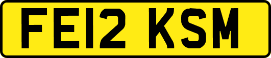 FE12KSM