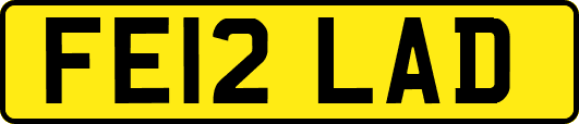 FE12LAD
