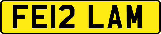 FE12LAM