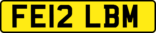 FE12LBM