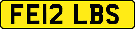 FE12LBS