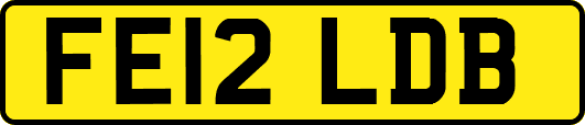 FE12LDB