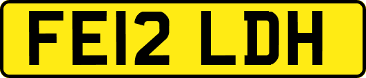 FE12LDH