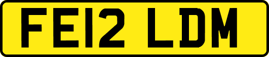 FE12LDM