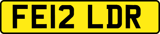 FE12LDR