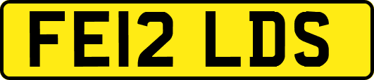 FE12LDS
