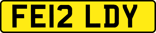 FE12LDY