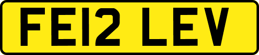 FE12LEV