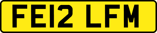 FE12LFM