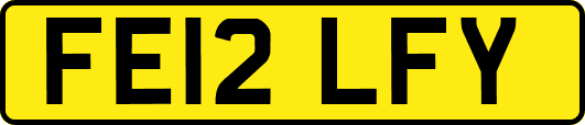 FE12LFY