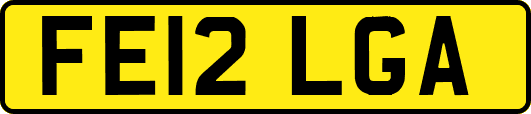 FE12LGA
